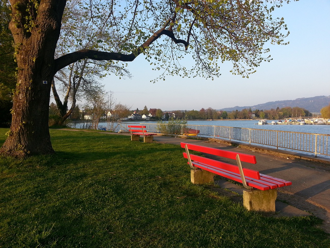 这样的表现 这样的表现