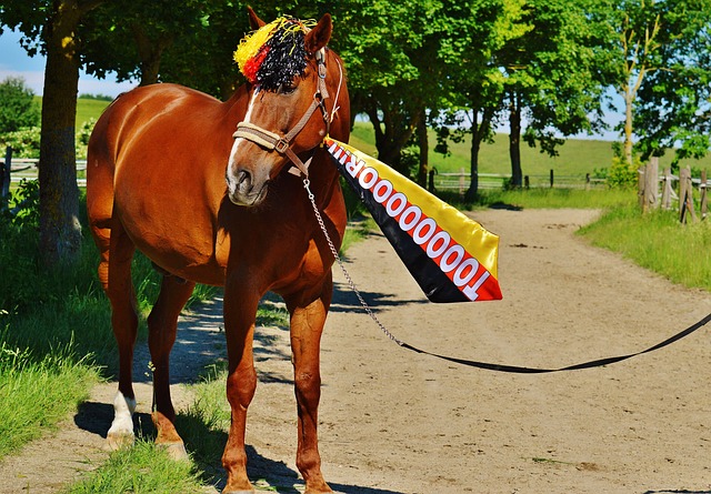 一位年轻门 一位年轻门