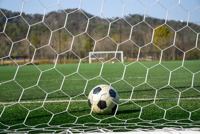 同將成為紅 同將成為紅