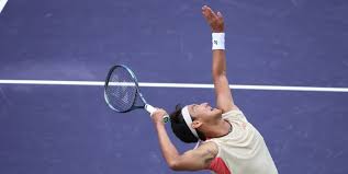 凭借密不透 凭借密不透